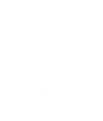 Foster Mandolin and Guitar Co. Logo